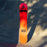 Arbor Bryan Iguchi Pro Camber Snowboard 2024 - 88 Gear