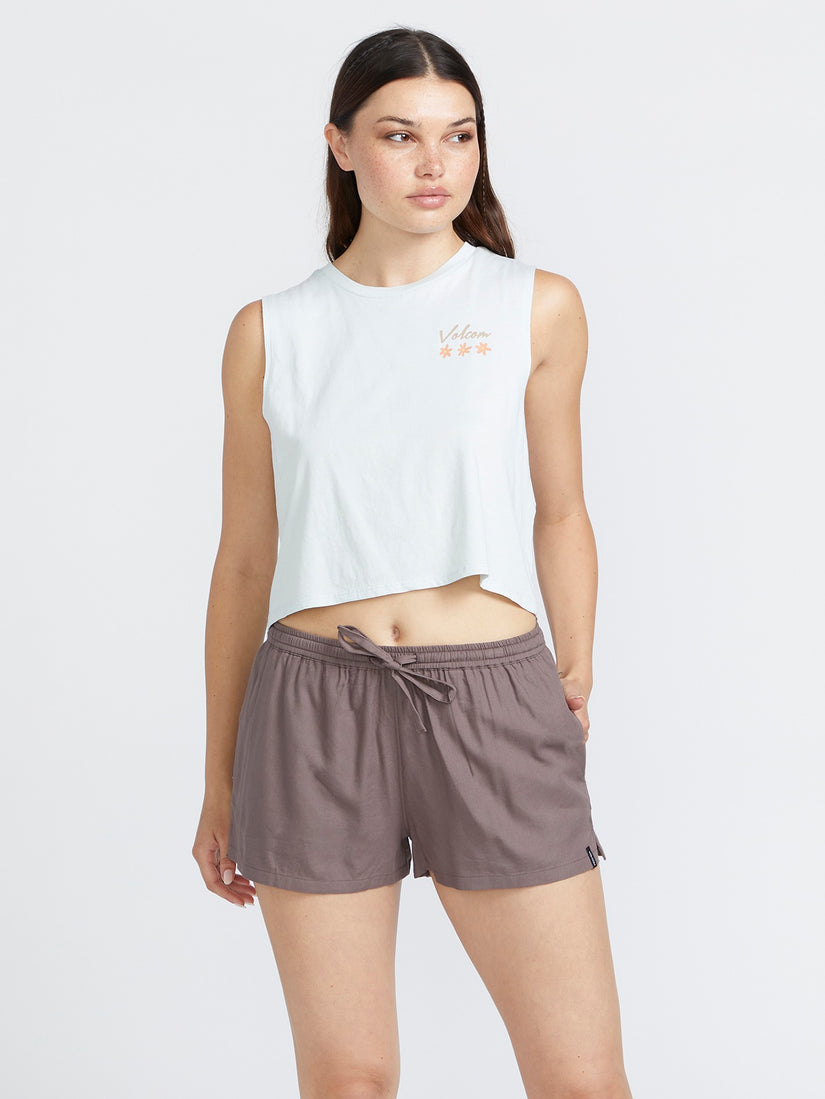 Volcom Stone Def Shorts