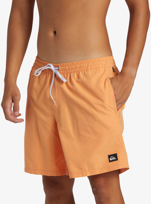 Quiksilver Everyday Solid Volley 17" Shorts