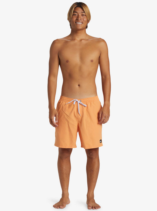 Quiksilver Everyday Solid Volley 17" Shorts